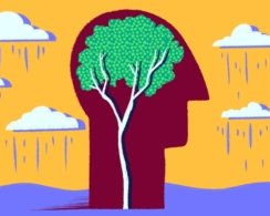3 простых совета, которые помогут сохранить мозг молодым и здоровым