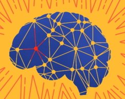 8 простых правил профилактики инсульта
