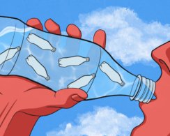 Есть ли опасный микропластик в питьевой воде
