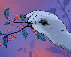 Что будет, если съесть волчью ягоду