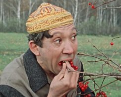 Можно ли наесться свежими витаминами из овощей, фруктов и ягод впрок