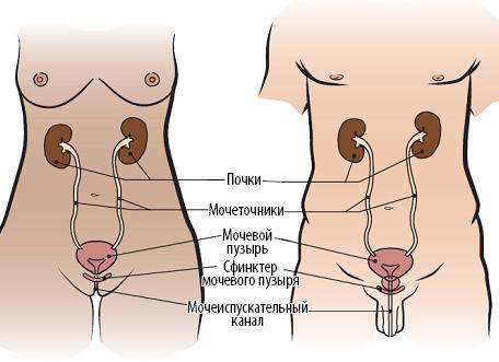 Сам себе железный человек: Как самостоятельно составить годовой план для подготовки к IRONMAN