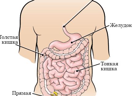 Как похудеть ещё быстрее: несколько советов для начинающих бегунов